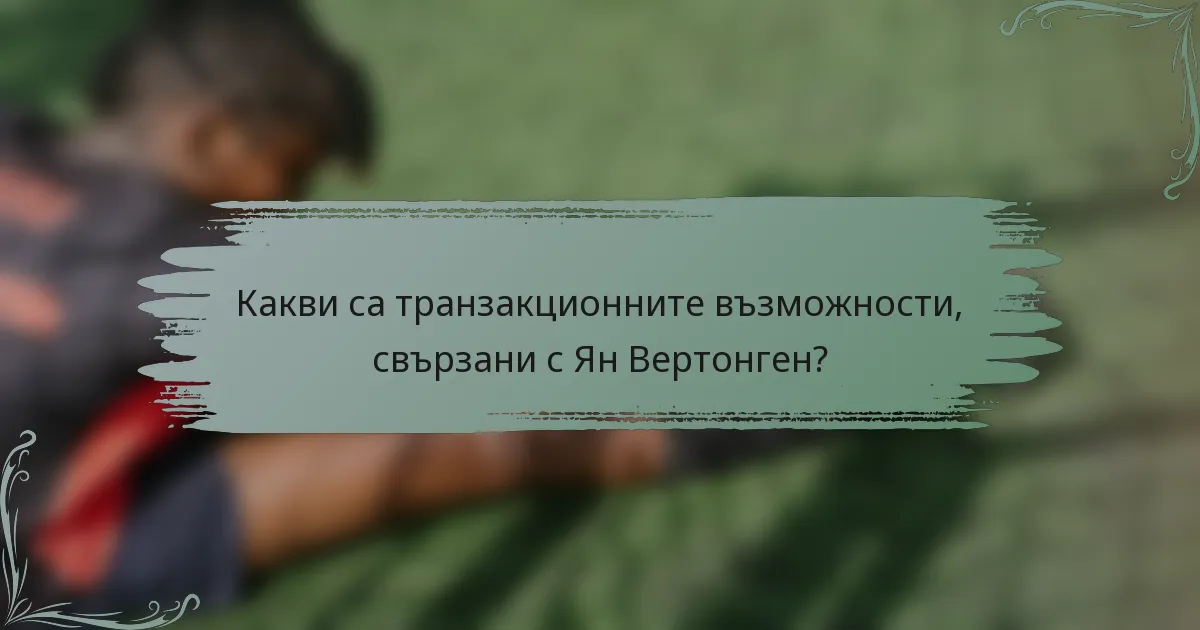 Какви са транзакционните възможности, свързани с Ян Вертонген?