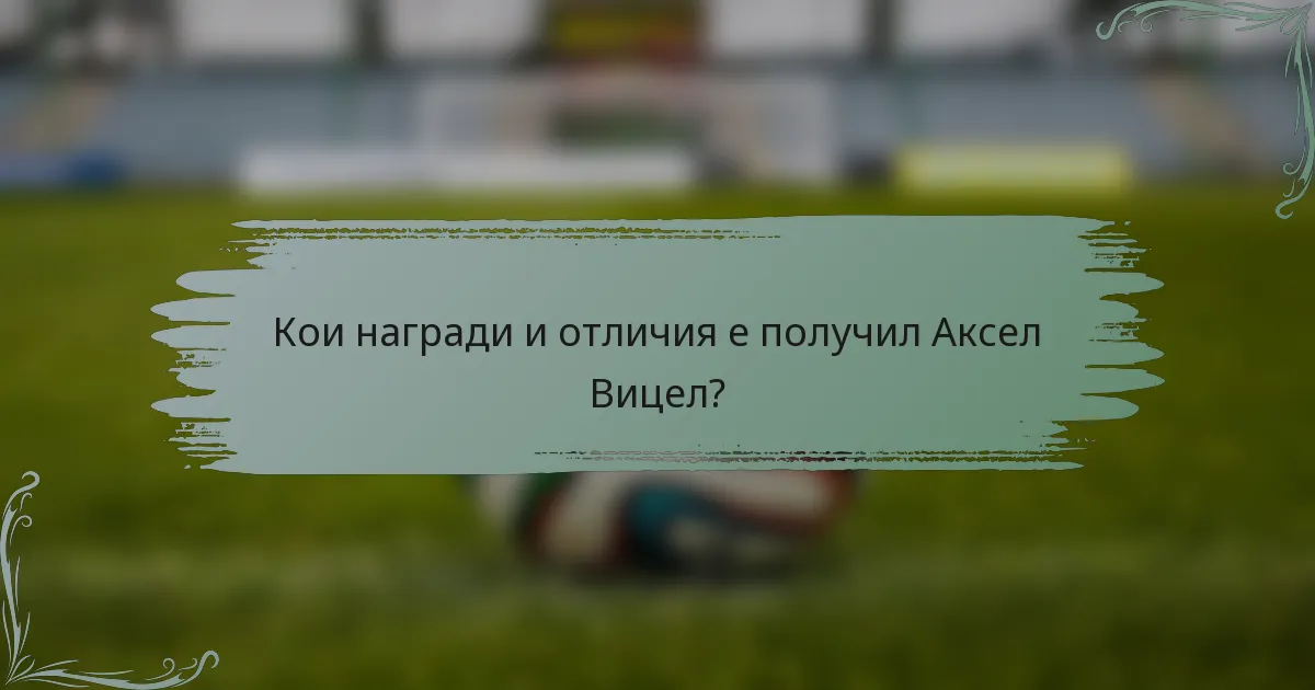 Кои награди и отличия е получил Аксел Вицел?